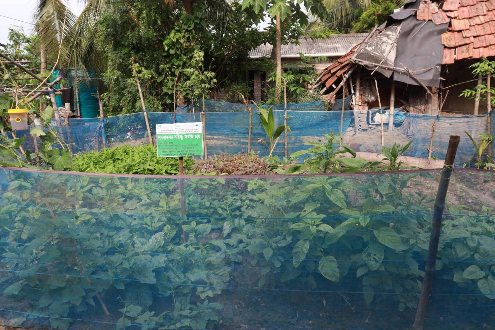 Agriculture & Livelihood